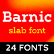Barnic Slab font family - 24 fonts