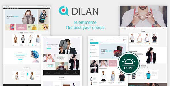 Fashion Shopify Theme - Dilan