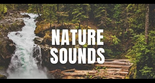 NATURE SOUNDS