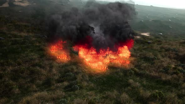 Red Fire in Dry Herb alt