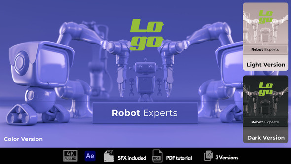 Robot Experts