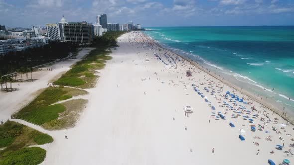 Sunny Day South Beach Miami Florida People Sunbathing Swimming alt