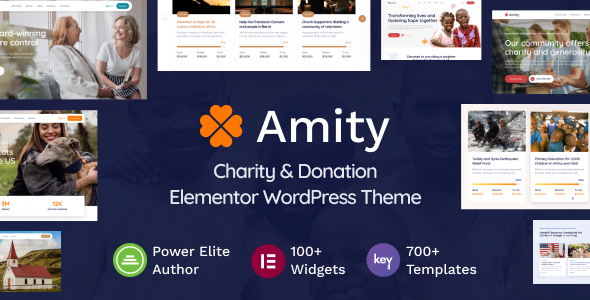 Amity - Charity & Donation Elementor WordPress Theme