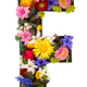 Letter F made of real natural flowers and leaves on white background isolated. - PhotoDune Item for Sale