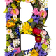 Letter B made of real natural flowers and leaves on white background isolated. - PhotoDune Item for Sale
