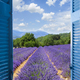 Lavender field - PhotoDune Item for Sale