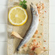 Capelin Shisamo Fish - PhotoDune Item for Sale
