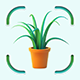 Plant App - Plant Identifier, Plant Identification, Plant Care 