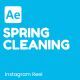 Spring Cleaning Instagram Stories - VideoHive Item for Sale