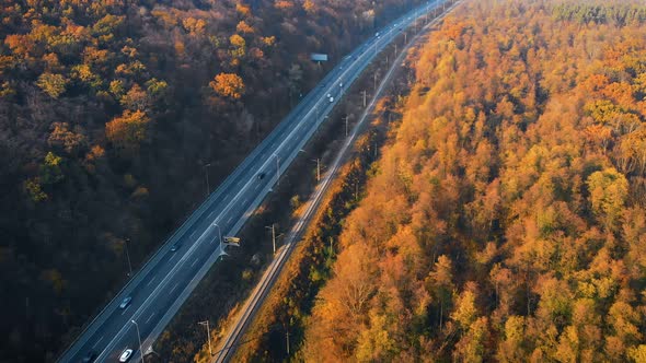 Road in Autumn Forest at Sunset, Drone Aerial View