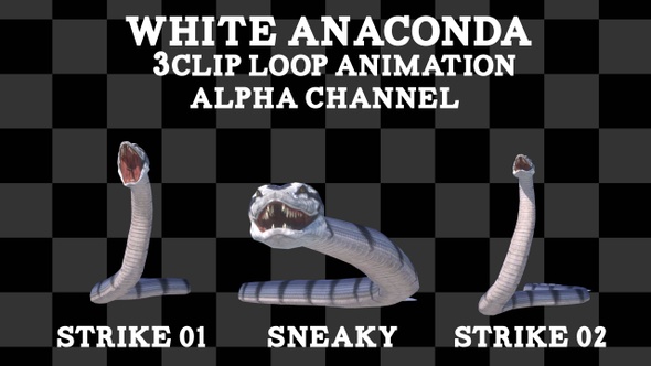 White Anaconda 3clip Loop