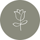 Linestyle Icon Design Set Flower