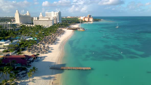 Palm Beach Aruba Amazing Tropical Beach with Palm Tree Entering the ...