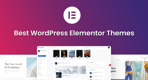 WordPress Elementor Themes