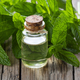 Bottle of mint essential oil and mint green leaves - PhotoDune Item for Sale