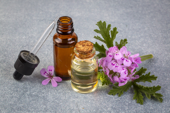 Pelargonium graveolens flower and essential pelargonium oil Stock Photo ...