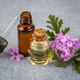 Pelargonium graveolens flower and essential pelargonium oil - PhotoDune Item for Sale
