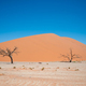 Namib-Naukluft Park, Namibia [20221220] - PhotoDune Item for Sale