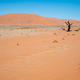 Namib-Naukluft Park, Namibia [20221220] - PhotoDune Item for Sale