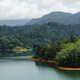 Green lake and rainforest tropical trees in Kuala Kubu Bharu, Malaysia. - PhotoDune Item for Sale