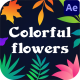 Colorful Flowers Pack for After Effects