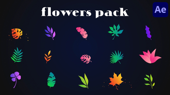 Colorful Flowers Pack for After Effects