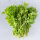 Parsley green leaves - PhotoDune Item for Sale