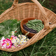 Homestead lifestyle. Vegetables, chard leaves, beans and flowers  in wicker basket close up - PhotoDune Item for Sale