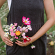 Flower farm. Beautiful flowers in rustic apron pocket close up. Woman florist gathering flowers - PhotoDune Item for Sale