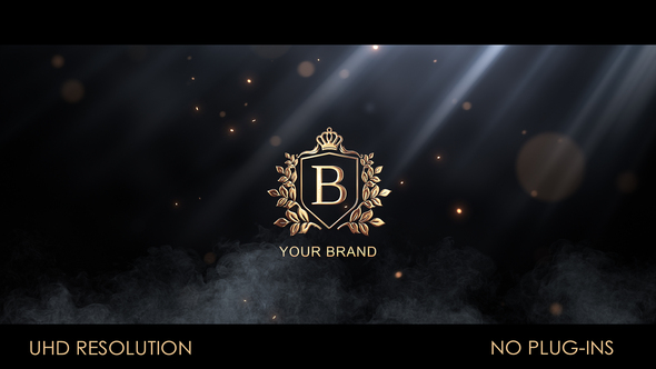 Particle Flow Logo Reveal Logo Stings template preview