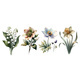 Set of Four Spring Flowers Vintage Botanical