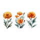 Three Marigold Flowers with Leaves Vintage