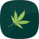 Narioz - Cannabis & Marijuana React