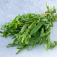 A bunch of arugula green leaves for salad. - PhotoDune Item for Sale
