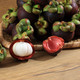 Mangosteen Known as The Queen of Fruits - PhotoDune Item for Sale