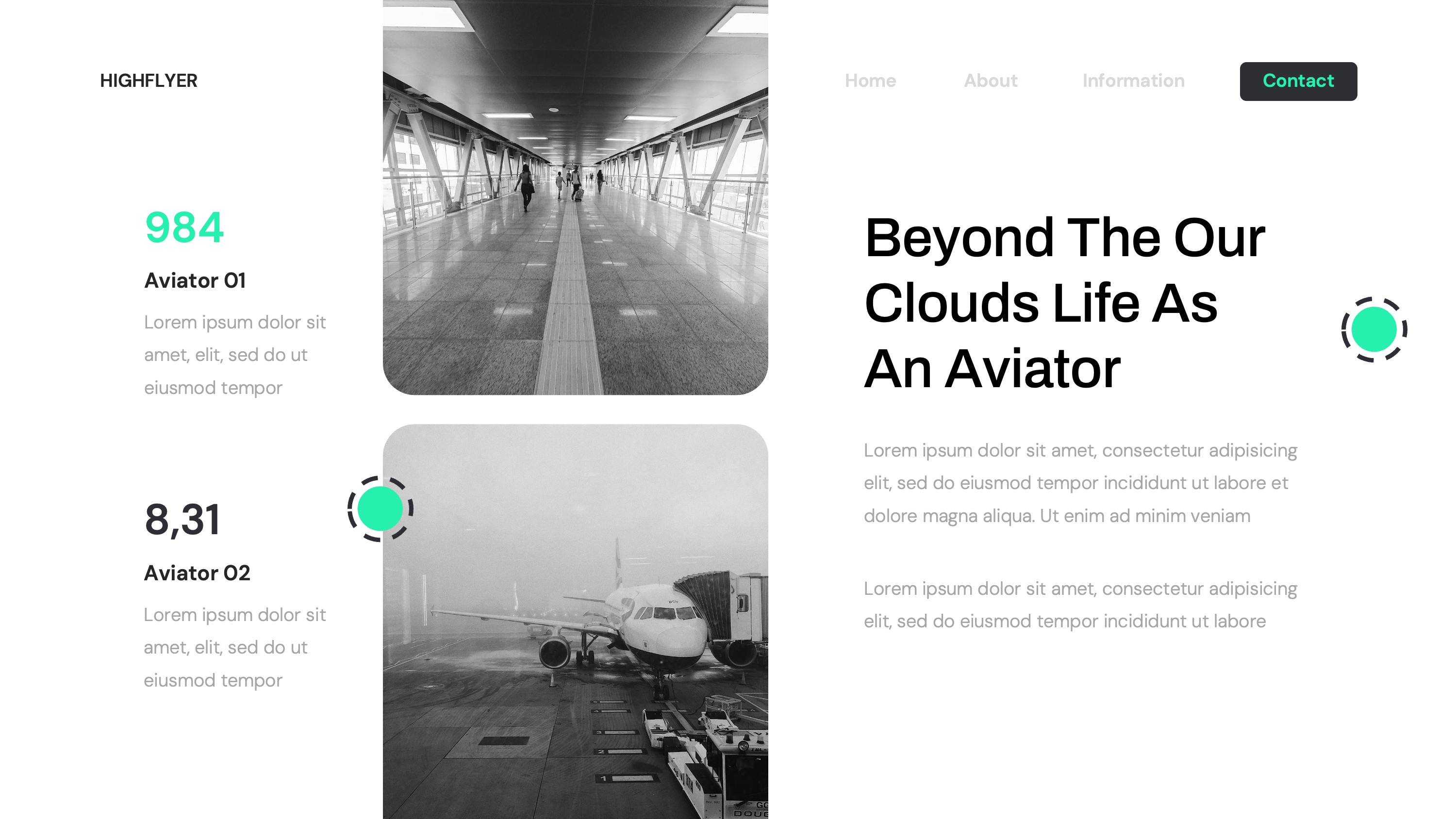 Highflyer Aviator Powerpoint, Presentation Templates | GraphicRiver