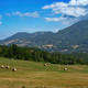 Mountain landscape along the Cisa pass, Italy, near Berceto - PhotoDune Item for Sale