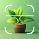 Bloomify – Plant Identifier Plant App – Plant Identifier Plant Identification Plant Care