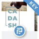 Cadash - Business Keynote Template