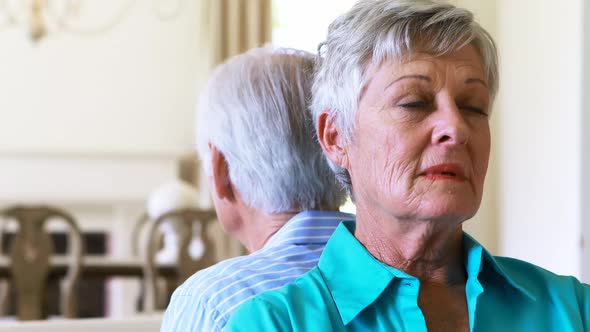 Upset senior couple arguing with each other in living room alt