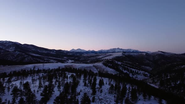 Flying over pine trees in winter towards the Rocky Mountains during blue hour, aerial alt