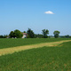 Country landscape near Fidenza, Emilia Romagna, Italy - PhotoDune Item for Sale