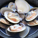 steamed Hamaguri clams with Japanese rice wine (sake). - PhotoDune Item for Sale