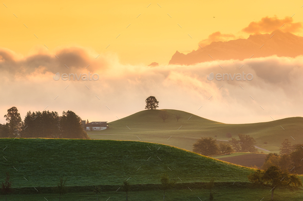 Sunrise over hilly landscape with lonely tree in peaceful village at ...