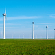 A row of majestic wind turbines standing tall in a lush, green field of the Netherlands Flevoland - PhotoDune Item for Sale