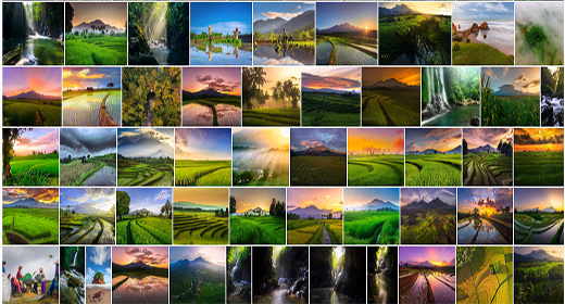 Rahmad Himawan Collection