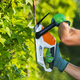 A Man Shaping Garden Trees Using Hedge Trimmer - PhotoDune Item for Sale