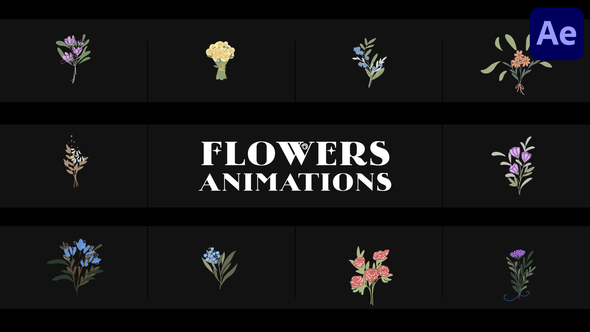 Flowers Falling Into Petals Animations for After Effects Elements template preview