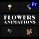Flowers Falling Into Petals Animations for Premiere Pro - VideoHive Item for Sale