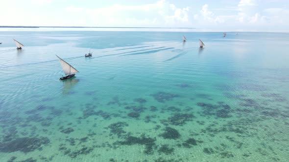 Boats in the Ocean Near the Coast of Zanzibar Tanzania alt